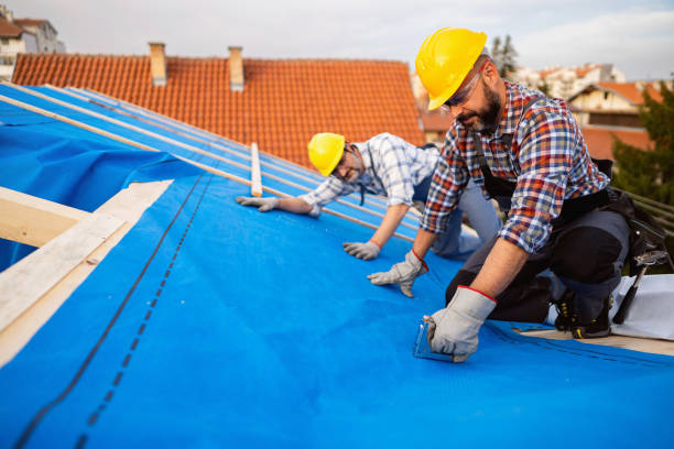 Best Roof Moss and Algae Removal  in Random Lake, WI